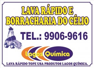 Tapete para carro - 0453